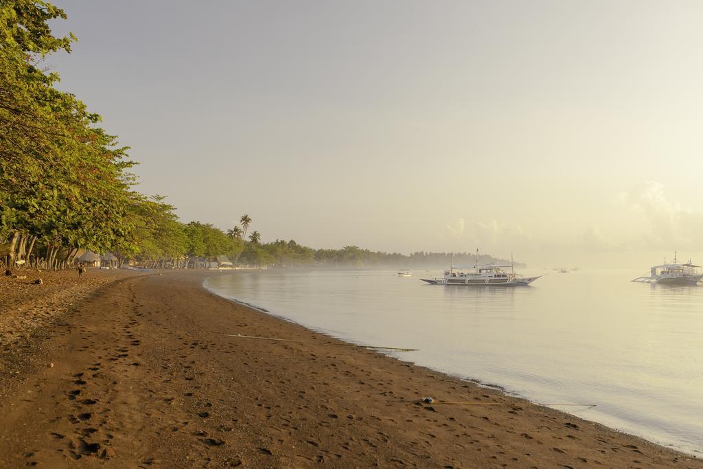 Mike's Dauin Dive Resort Exterior foto